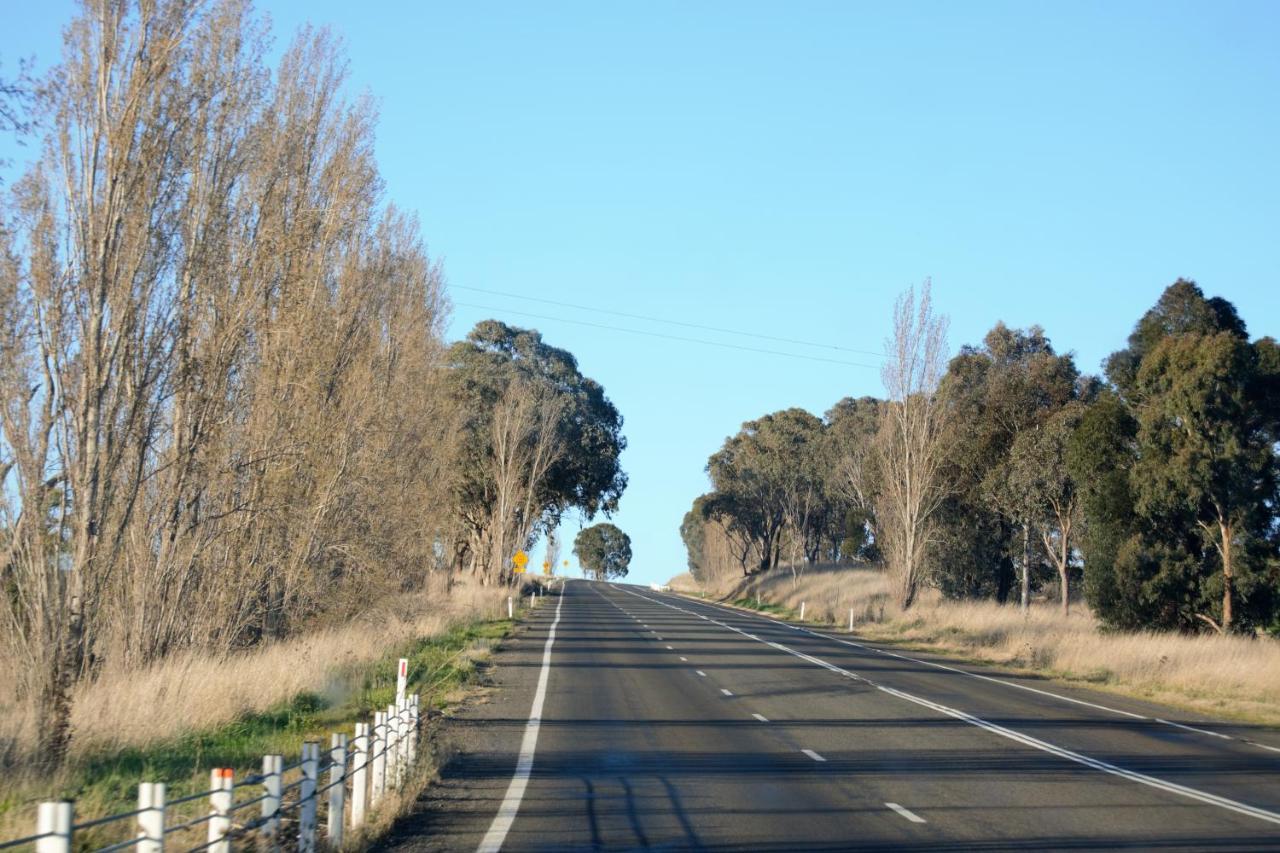 Civic Motor Inn Cowra Buitenkant foto