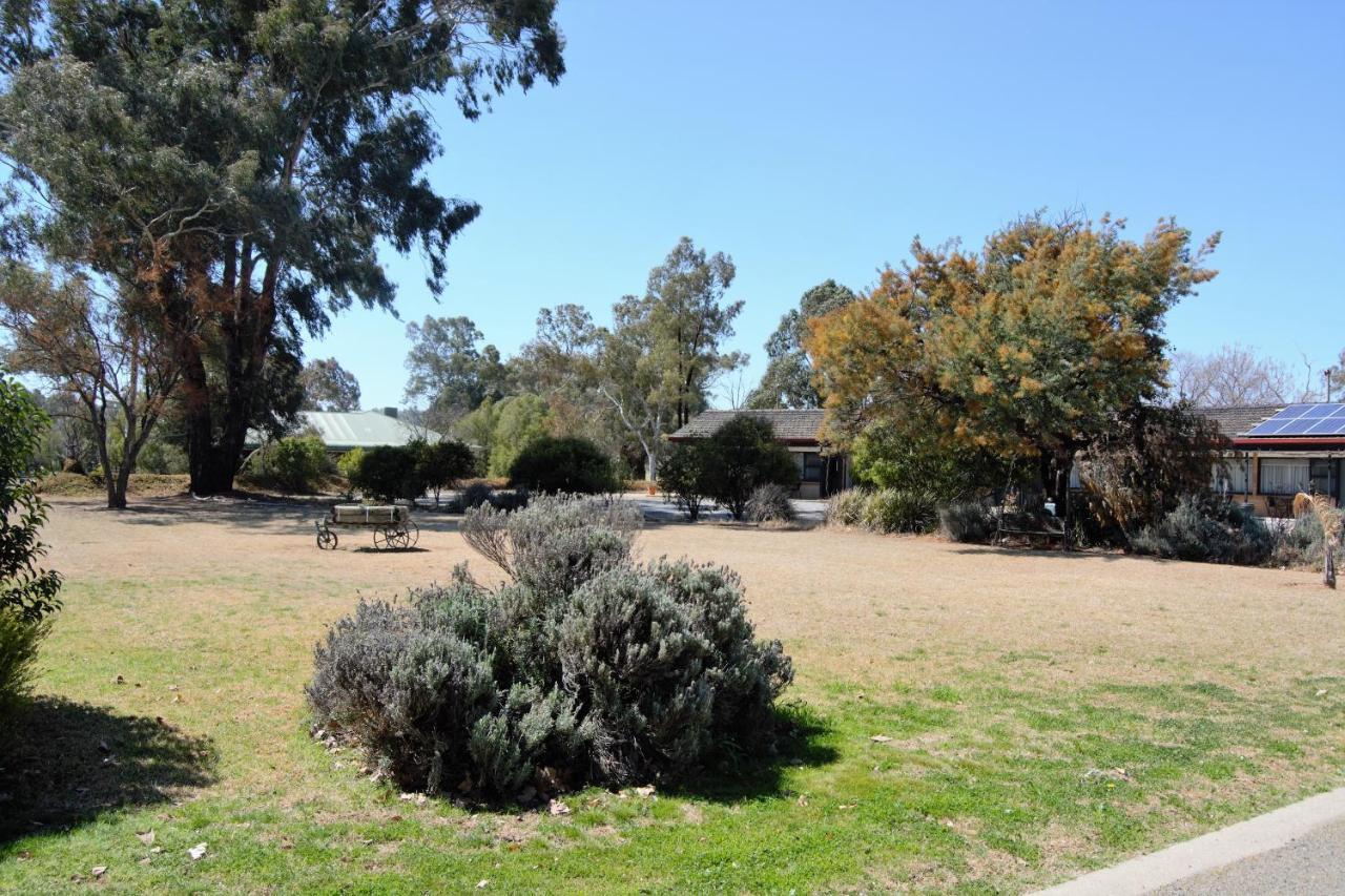 Civic Motor Inn Cowra Buitenkant foto