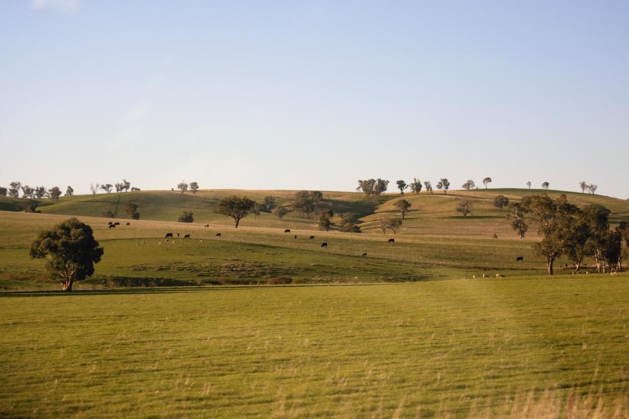 Civic Motor Inn Cowra Buitenkant foto